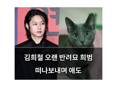 김희철 오랜 반려묘 희범 떠나보내며 애도