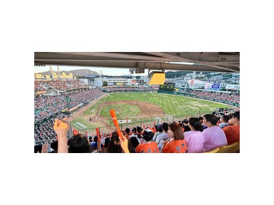 부산고 창단 29년 만에 청룡기 우승 그때의 감동