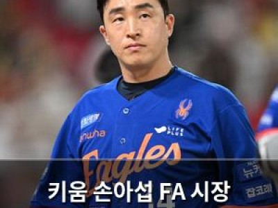 키움 손아섭 FA 시장 남기로 결정했네