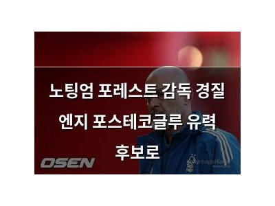 노팅엄 포레스트 감독 경질 엔지 포스테코글루 유력 후보로
