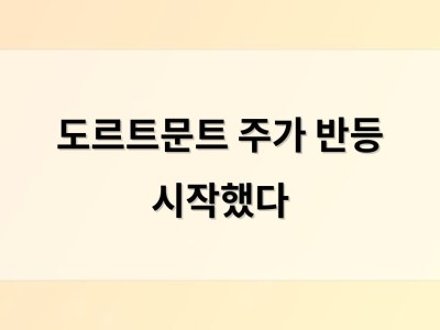 도르트문트 주가 반등 시작했다