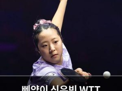 삐약이 신유빈 WTT 챔피언스 결승 진출 실패