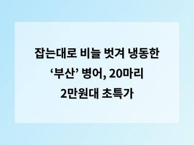 잡는대로 비늘 벗겨 냉동한 ‘부산’ 병어, 20마리 2만원대 초특가