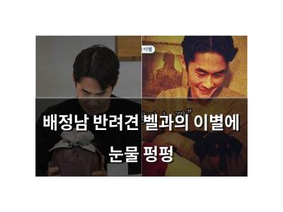 배정남 반려견 벨과의 이별에 눈물 펑펑