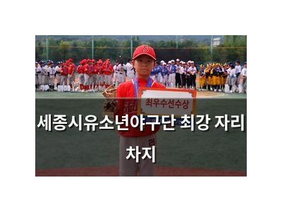 세종시유소년야구단 최강 자리 차지