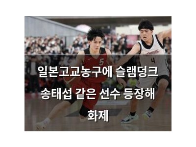 일본고교농구에 슬램덩크 송태섭 같은 선수 등장해 화제