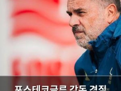 포스테코글루 감독 경질 토트넘 팬들 충격