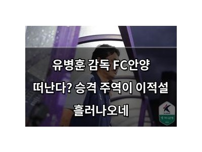 유병훈 감독 FC안양 떠난다? 승격 주역이 이적설 흘러나오네