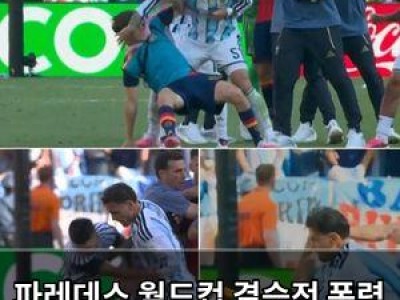 파레데스 월드컵 결승전 폭력 행위로 중징계 받다